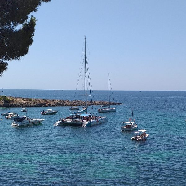 12-Excursión en lancha. Reflejo Mamífero. Bahía de Palma de Mallorca