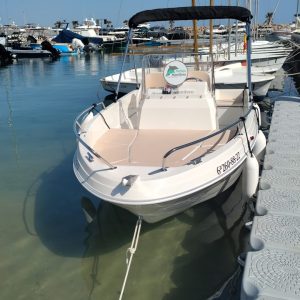 Lancha alquiler Reflejo mamífero