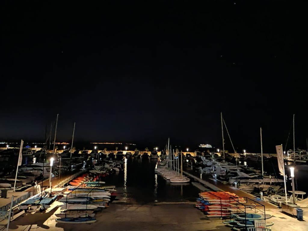 port-calanova-noche-reflejo-mamifero