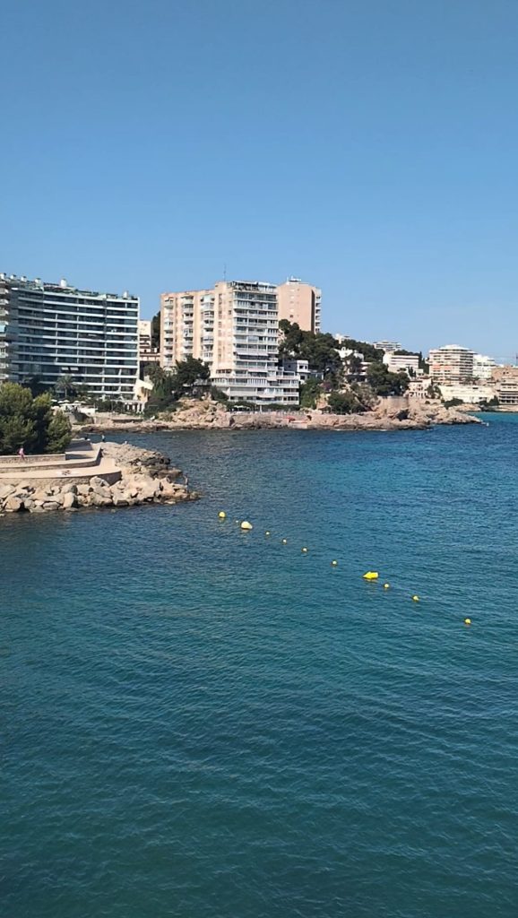 Playa de Calanova