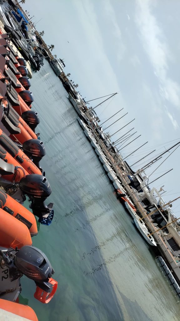 Lanchas de la escuela de vela